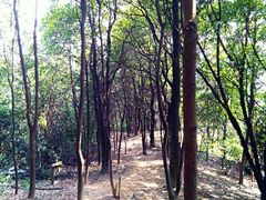 -火炉山森林公园