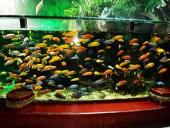 -太平洋海底世界