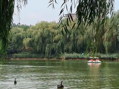 -河北省园博园