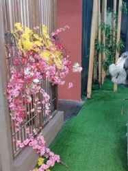 -盘子女人坊生日照·摄影馆(华强店)