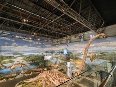 -自贡恐龙博物馆