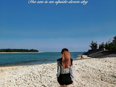 -东郊椰林