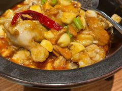 黑松露牛肝菌焖牛蛙-云海肴·汽锅鸡·云南代表菜(天山百盛优客店)