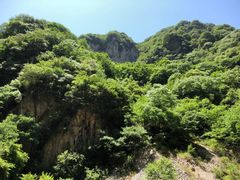 -陕西省红河谷森林公园