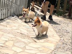 -京西十八潭风景区