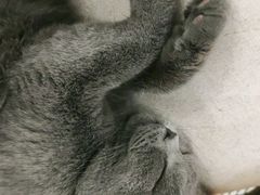 -么么咖啡(燕郊店)