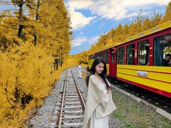 -莫尔道嘎国家森林公园