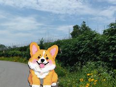 -青龙山国家森林公园