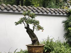 -成都杜甫草堂博物馆