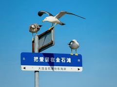 -大连金石滩国家旅游度假区