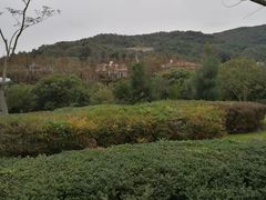 -乌石塘景区