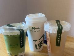 -一树一叶·福建茶档(石鼓路店)