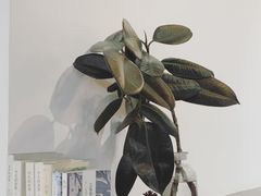 -素咫咖啡CLIFEROSE