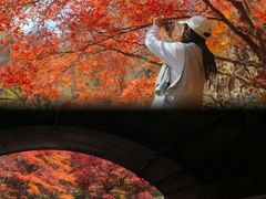 -长白岛森林公园