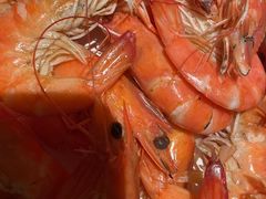 -鸽子侯·家宴·平价海鲜(市图书馆店)