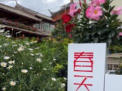 -春天里餐厅·云南创意菜特色美食(束河店)