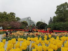 -南山植物园