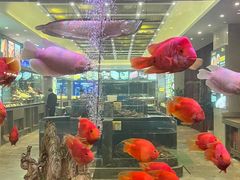 -骏莱海鲜鱼港(五角场店)