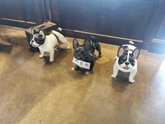 -LYFATTI 莱芙缇(赣水路店)