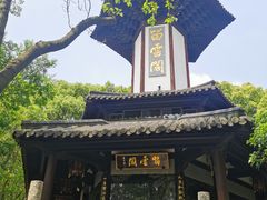 -上海佘山国家森林公园天马山园