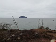 -泰谷酒店·太古码头闽菜自助餐厅