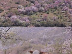 -赛里木湖风景名胜区