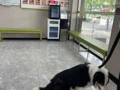 -瑞鹏宠物医院·骨外科·心肾科·肿瘤科(九亭店)