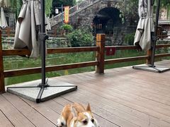 -黄龙溪古镇