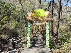 -大岭沟猕猴桃谷风景区