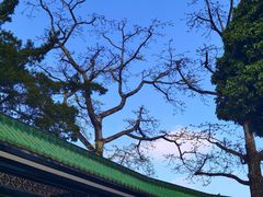 -宝墨园景区