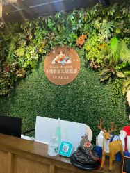 -小熊维尼高端儿童摄影(南山店)