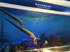 -国家自然博物馆