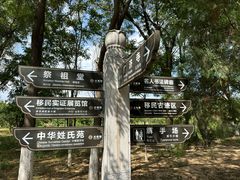 -大槐树寻根祭祖园