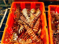 -79号渔船海鲜饭店(华强北店)