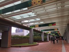 -香港大学