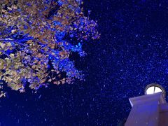 圣诞节下雪了-上海迪士尼度假区