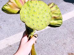 -苏州吴中太湖旅游区