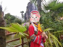 -西双版纳原始森林公园