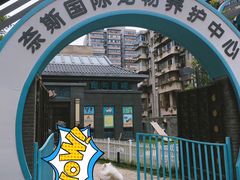 -奈斯宠物医院·核磁CT·异宠专科·内镜(中南店)