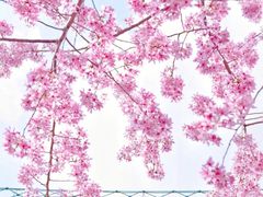 -白沙门生态公园