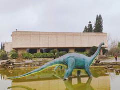 -自贡恐龙博物馆