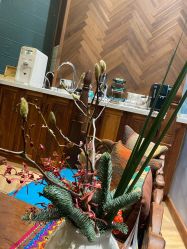 -娇玫荟SPA