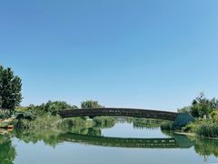 -马家湾湿地公园
