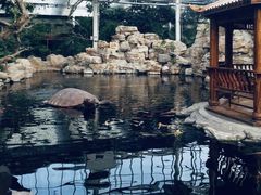 -龙达温泉生态城