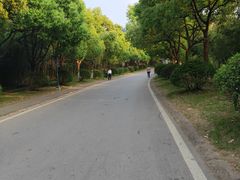 -南京市江宁方山