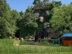 -沈阳鸟岛
