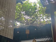 -优之名鹅城