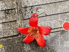-烈士陵园(地铁站)