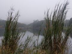 -海南热带雨林国家公园吊罗山景区