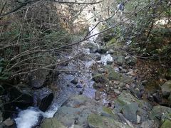 -藏龙百瀑风景区